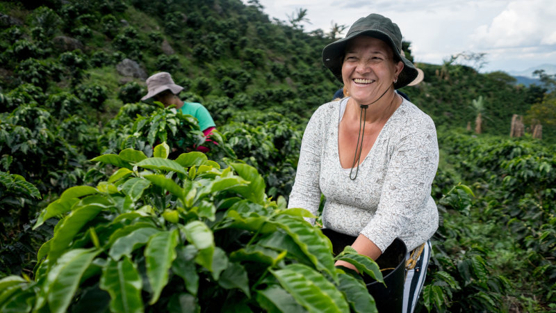 Why Fair Trade Coffee is so important.